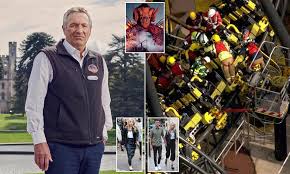 Alton Towers staff speak about devastating effect of Smiler crash | Daily  Mail Online