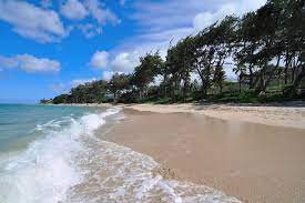 Save up to 20% · 24/7 customer support · compare & save Kokololio Beach Park Unrealhawaii Com