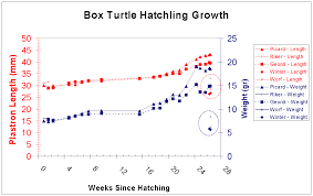 headstarting box turtles and juvenile growth rates