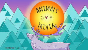 Ask questions and get answers from people sharing their experience with risk. 159 Animal Trivia Questions Answers For Kids Adults