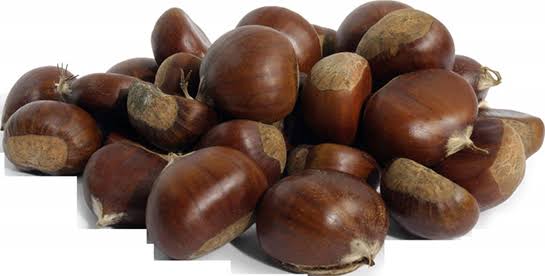 kestane ile ilgili gÃ¶rsel sonucu