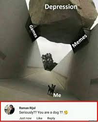 Depression Vs Games Memes And Me Seriously You Are A Dog Meme Memezila Com