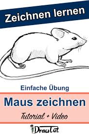 Maus Zeichnen Lernen Video Tutorial Zeichnen Lernen Zeichnen Anleitung Zeichnen