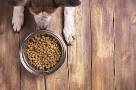 Here are some things to consider that will keep your buddy nourished and happy through these happy first months of life with you. Grain Free Food May Be Linked To Dog Heart Disease Health Authority Environment The Jakarta Post