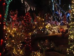 Discover ethel m botanical cactus garden in henderson, nevada: How To Celebrate Christmas And New Year S Eve In Las Vegas Canyon Tours
