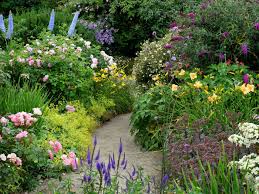 Many of the most common varieties are biennials, meaning they complete their lifecycle over 2 years. How To Avoid Invasive Plants This Old House