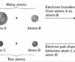 Right here, we have countless book gizmo answer key student exploration ionic bonds and collections to check out. How Do Covalent Bonds Form Quizlet