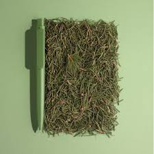 Your Branding Must Match Your Corporate Values If You Like Us At Prodir Believe Green Is The Only Way To In 2020 Corporate Values Sustainability Writing Instruments