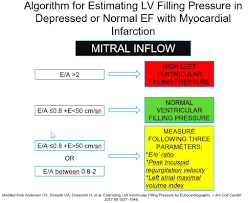 Looking Beyond Ejection Fraction What We Have In Echocardiography