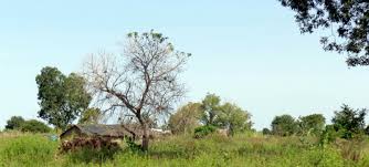 Free calls to Chad Top 7 Facts!