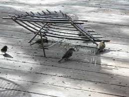 Resultado de imagem para arapuca