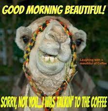 The guards just took a boy from the market, on your orders. 60 Wednesday Coffee Memes Images Pics To Get Through The Week Funny Good Morning Images Morning Quotes Funny Funny Good Morning Quotes