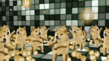 How much doge can exist? Dogecoin Gifs Tenor