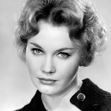 Watch Route 66 (1960) TV Series Free Online