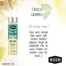 Beurre De Karite Et Huiles 100 Purs Et Naturels Et Recettes Diy Waam Cosmetics Cosmetiques Faits Maison Beurre De Karite Cosmetique