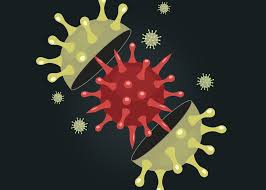 Sometimes they change host and infect humans. Can We Stop A Super Coronavirus Der Spiegel