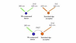 نتیجه جستجوی لغت [fret] در گوگل