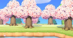 See trees with purple flowers, pink flowers, and white flowers and get basic care essentials and planting tips. How To Get A Cherry Blossom Tree Acnh Animal Crossing New Horizons Switch Game8