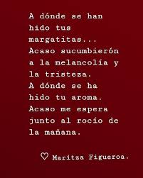 Maritza Figueroa S Escritora Chilena Talca Poesia Cuentos Frases Citas Texto Escritos Sentimientos Written Cuotes Poem