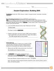 Building dna the gizmo answers will appear on the screen and you can check your work before you submit your work on the gizmo platform. Left Side Right Side 3 Explain Describe The Structure Of The Dna Molecule You Course Hero