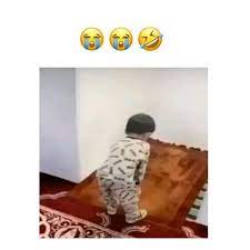 pin by layali dashtii on سوالف ضحك video in 2021 cats animals
