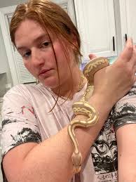 Banana Pinstripe Mojave vs Banana Pin differences?