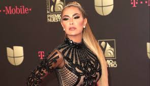 Ninel conde responde a detractores por supuestas nuevas cirugías. Quien Es Larry Ramos La Nueva Pareja De Ninel Conde La Opinion