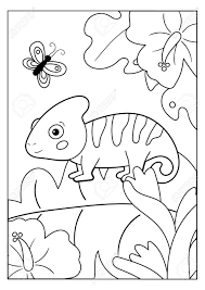 Free flashcards, worksheets, coloring pages, and more! Coloring Page For Kids Jungle Animals Cartoon Chameleon With Royalty Free Cliparts Vectors And Stock Illustration Image 140530339