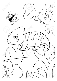 Here we have giraffes, elephants, parrots, big jungle cats, snakes, lions, some jungle scenes and of course a few jungle book coloring pages. Coloring Page For Kids Jungle Animals Cartoon Chameleon With Butterfly And Exotic Flowers Educational Game Royalty Free Cliparts Vectors And Stock Illustration Image 140530339