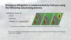 Overview Of Everything You Need To Know About Mitigation Ppt Download