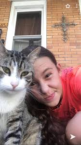 Two more cats left one black and grey short hair they are strays but been  doing my best to keep them safe. That's the dad next to the black kitten