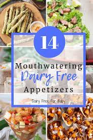 Whether you're looking for dairy free dips or finger foods, these are the best dairy free appetizers you'll find on the internet. 14 Mouthwatering Dairy Free Appetizers Dairy Free For Baby