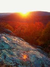 The forest has over 750 miles of trails. 16 Best Mark Twain National Forest Ideas Mark Twain National Forest National Forest Forest