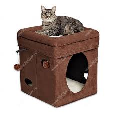 Domik Dlya Koshki Midwest Curious Cat Cube Internet Zoomagazin Mister Gav