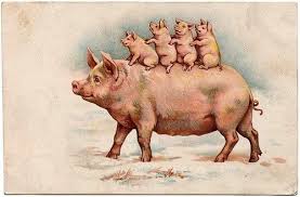 Down With Bacon Pig Illustration Pig Art Animals