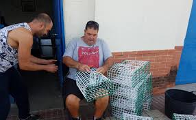 Pescando pulpos en el levante almeriense. La Flota Se Prepara Para Comenzar El 1 De Octubre La Pesca Del Pulpo Tras Tres Meses De Veda Diario Sur