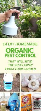 The 7 best organic pest control techniques for your garden. How To Make 14 Homemade Organic Pesticides For Gardens Natural Pesticides Organic Pesticide Organic Pest Control