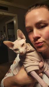 Preventing Cat from Peeing