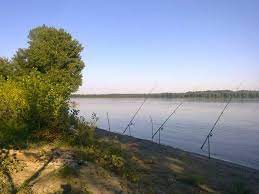 Home forum subiecte locuri de pescuit pe dunare. Unde Am Pescuit Comentarii Partide Balta Dunare Greaca Pescuitul Ro