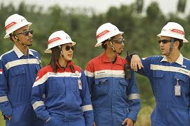 Pertamina (persero) administrasi staf, lowongan kerja di pt. Health Safety Security And Environmental Hsse Pt Pertamina Ep Cepu Adk