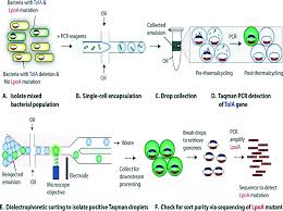 Government for military, homeland security, and public health applications. Droplet Based Microfluidics In Drug Discovery Transcriptomics And High Throughput Molecular Genetics Lab On A Chip Rsc Publishing Doi 10 1039 C6lc00249h
