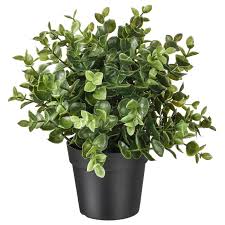 Fejka Artificial Potted Plant Oregano Ikea Artificial Potted Plants Small Artificial Plants Artificial Plant Wall