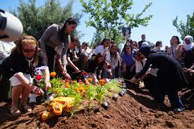 Diyarbakır Büyükşehir Belediyesi - News update