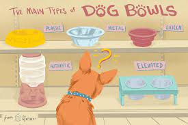 What Kind Of Dog Bowl Is Best For My Dog