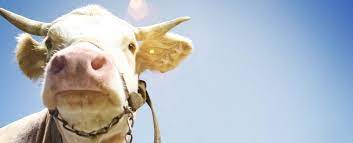 Haben uns in den letzten jahren an traumhafte orte mitgenommen. 8b1nlkdxq6vwwm