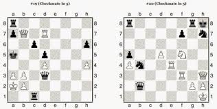 They provide a good way to pass time and also improve your concentration, even if you are a beginner or olympiad master. Chess Daily News By Susan Polgar Spwo Puzzle Solving Archives Chess Daily News By Susan Polgar