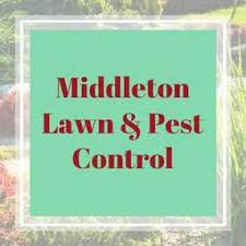 Massey services — lawn care and irrigation services. 14 Best Lawn Care Mowing Services In Spring Hill Fl