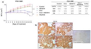 Cancerians are very visual, stellas says,. Cancers Free Full Text Synergistic Anti Tumor Effect Of Mtor Inhibitors With Irinotecan On Colon Cancer Cells Html