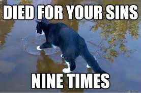 Jesus Cat Cat Memes Funny Animal Pictures Funny Cat Photos