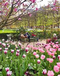 Le Temps Des Tulipes Au Palais Royal